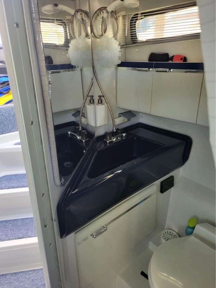 
								Four Winns 315 Vista 1991 full									