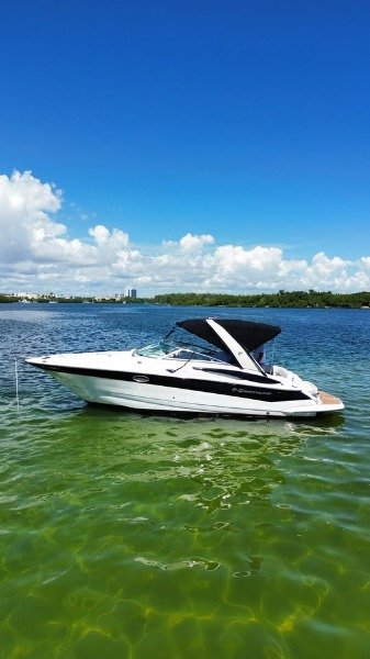 
								Crownline 300 LS 2008 full									