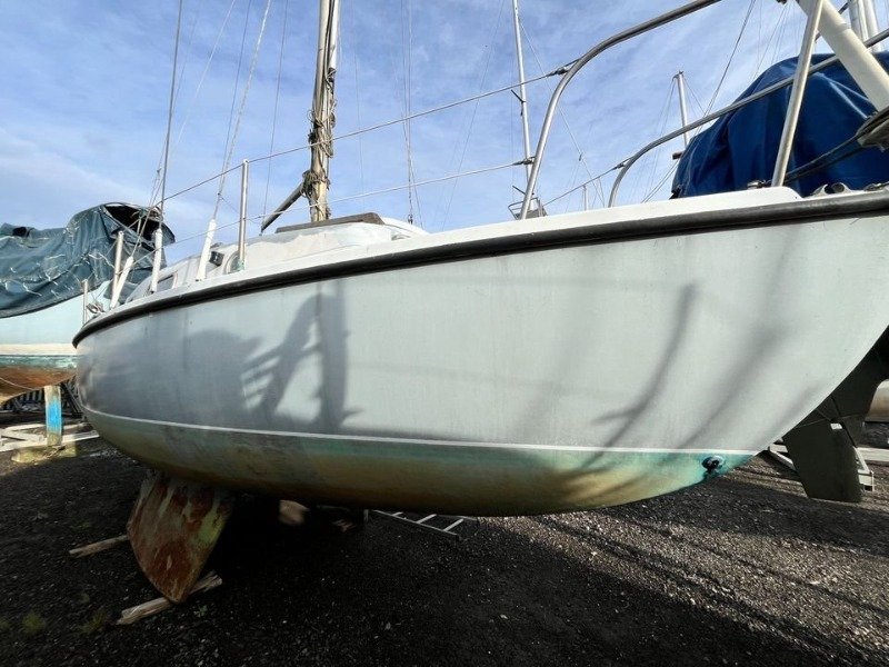 Kingfisher 26 1969